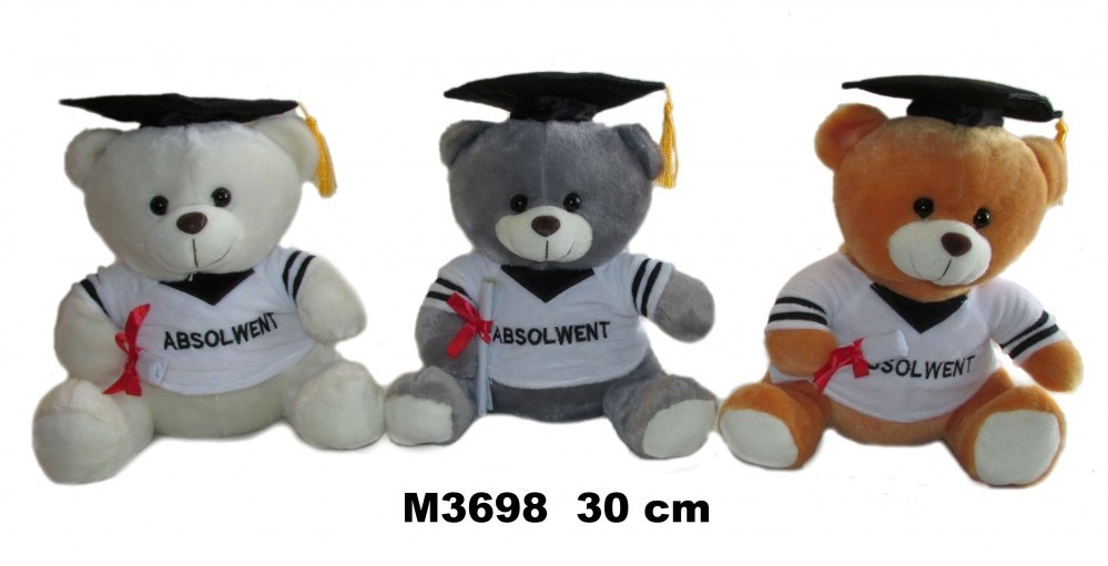 PELUCHE TOY BOW 30CM ASSIS EN VÊTEMENT DIPLÔMÉ SA DIMANCHE